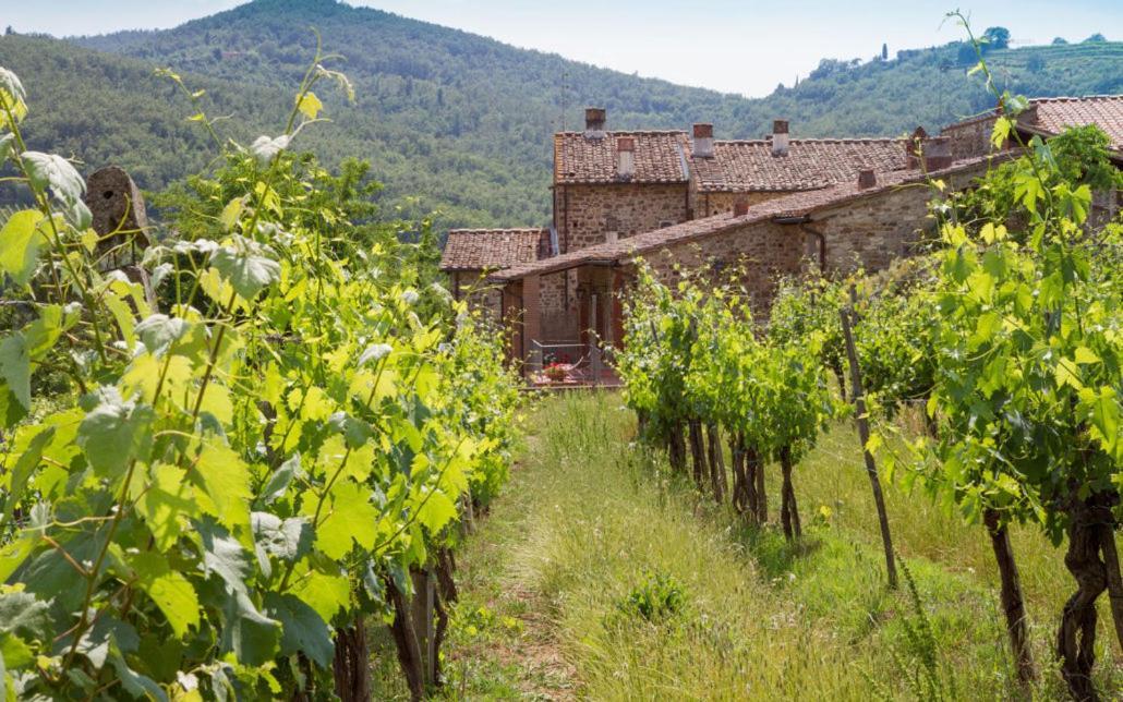 Le Masse Greve in Chianti Dış mekan fotoğraf